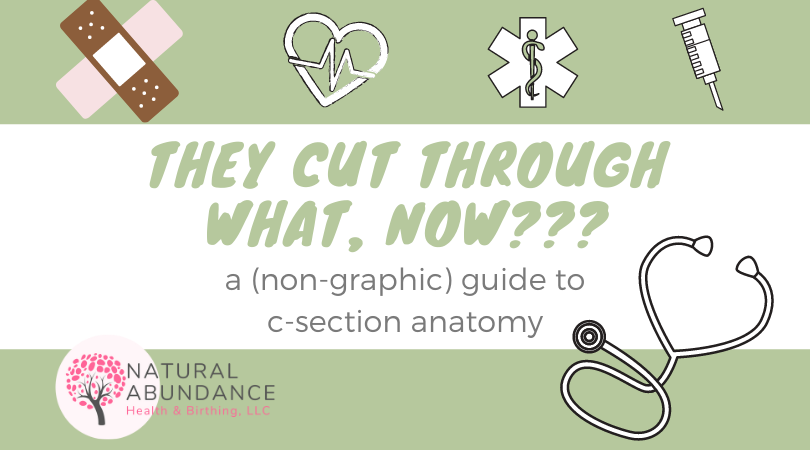 non-graphic guide to c-section anatomy