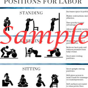 Labor Positions Sheet