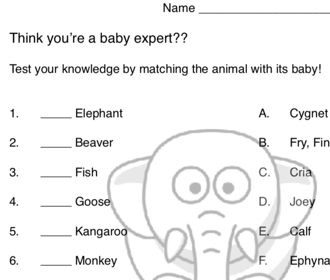 CBE Activities Bundle - Image 2