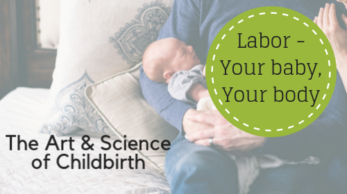 Online Mini-Courses for Parents! $15-25 - Image 3