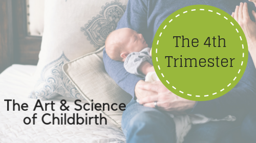 Online Mini-Courses for Parents! $15-25 - Image 6