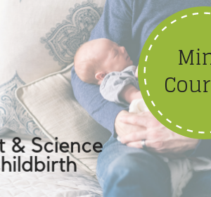 5 affordable mini-courses for childbirth and beyond. Only $15-25 each! Learn from a doula and teacher with over a decade of experience. Start today!