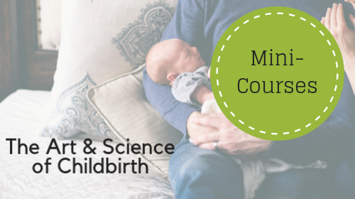 5 affordable mini-courses for childbirth and beyond. Only $15-25 each! Learn from a doula and teacher with over a decade of experience. Start today!