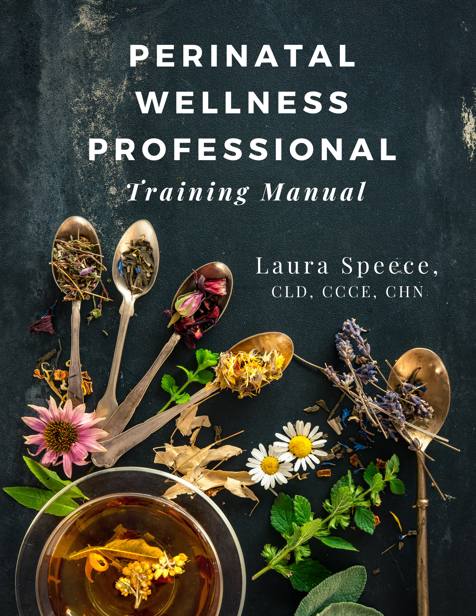 PWP perinatal wellness health professional coach consultant