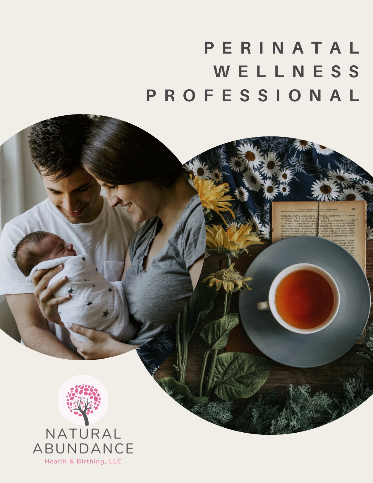 perinatal wellness curriculum guide