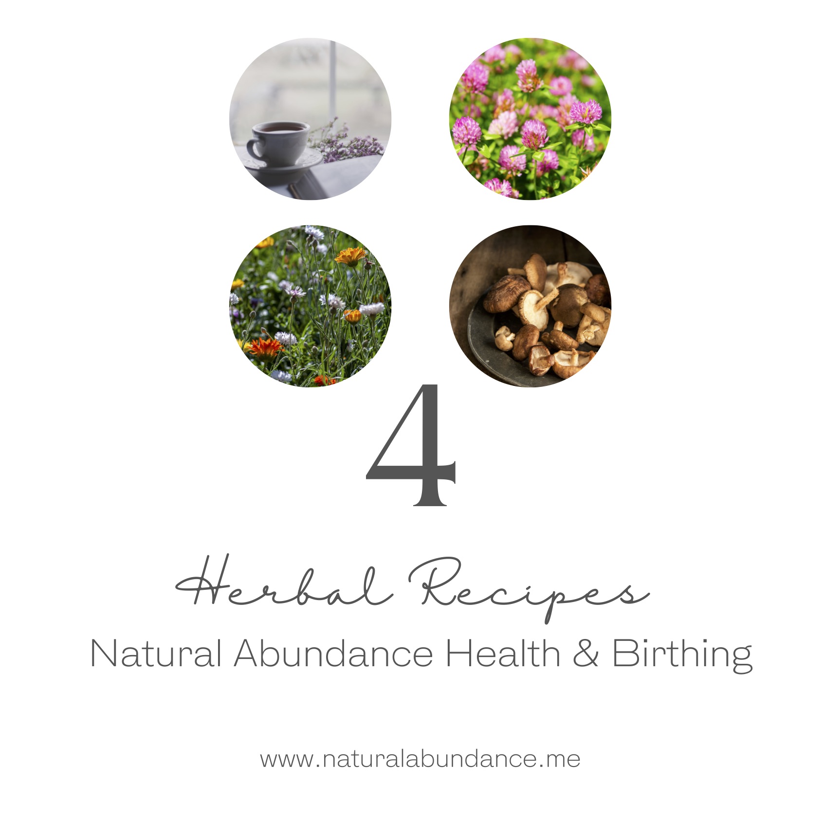 herbal recipes sitz bath tea broth PDF