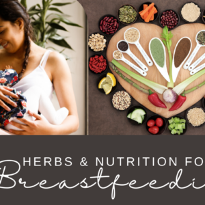 herbs nutrition for breastfeeding