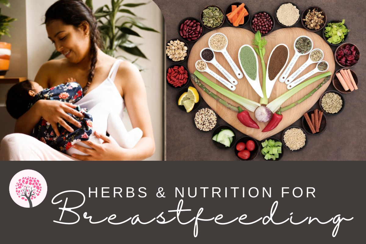 herbs nutrition for breastfeeding