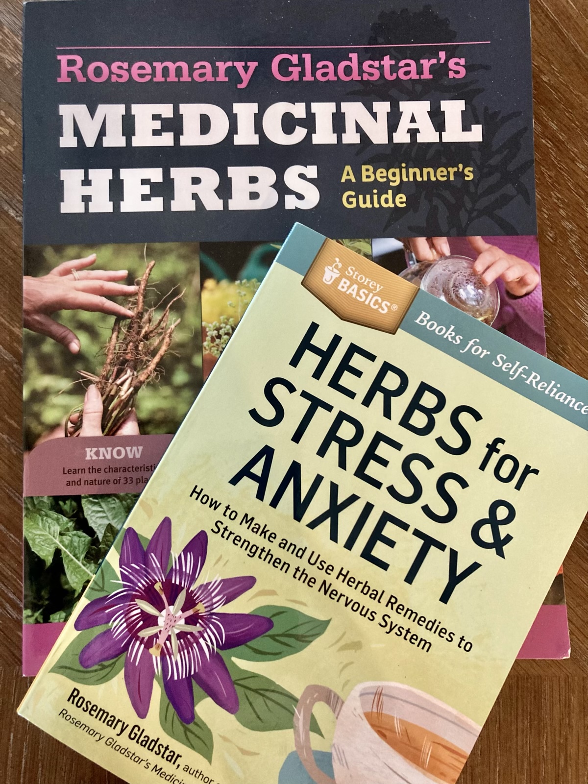 Herbs for Stress and Anxiety Rosemary Gladstar