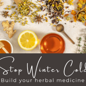 winter cold flu herbal toolkit