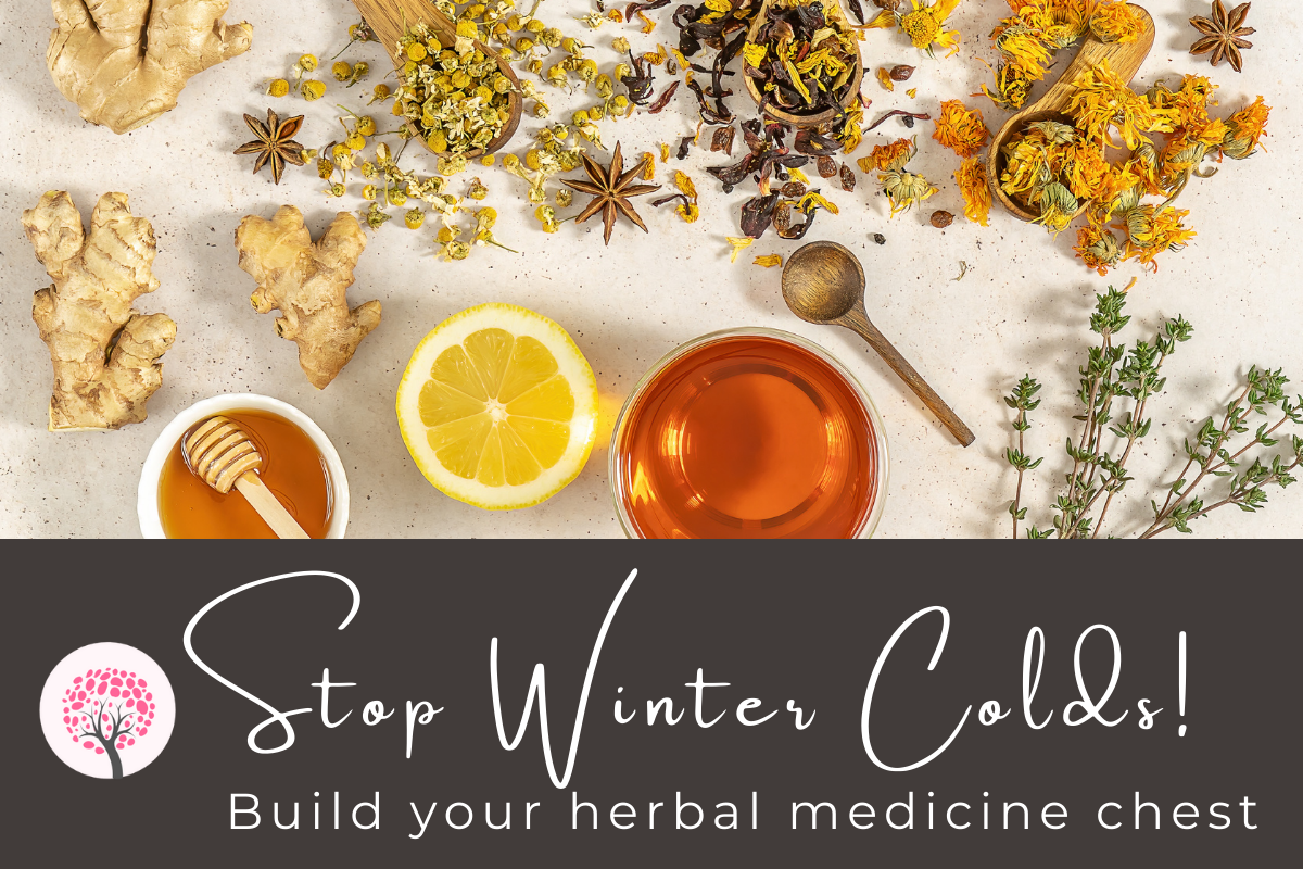 winter cold flu herbal toolkit