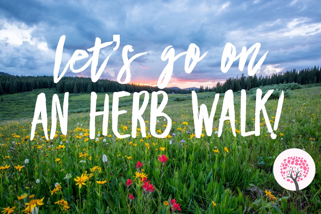 virtual herb walk class