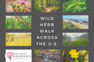 wild herb walk across the U.S.