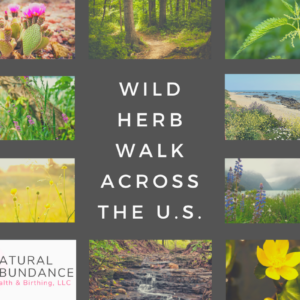 wild herb walk across the U.S.