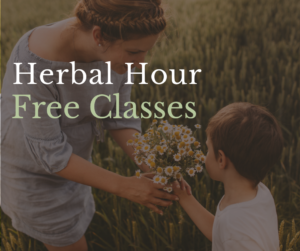 Free herbal classes online pregnancy postpartum