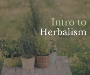Intro to Herbalism, online class