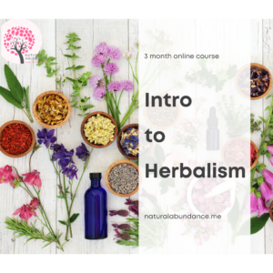 Intro to Herbalism, 3 month online course
