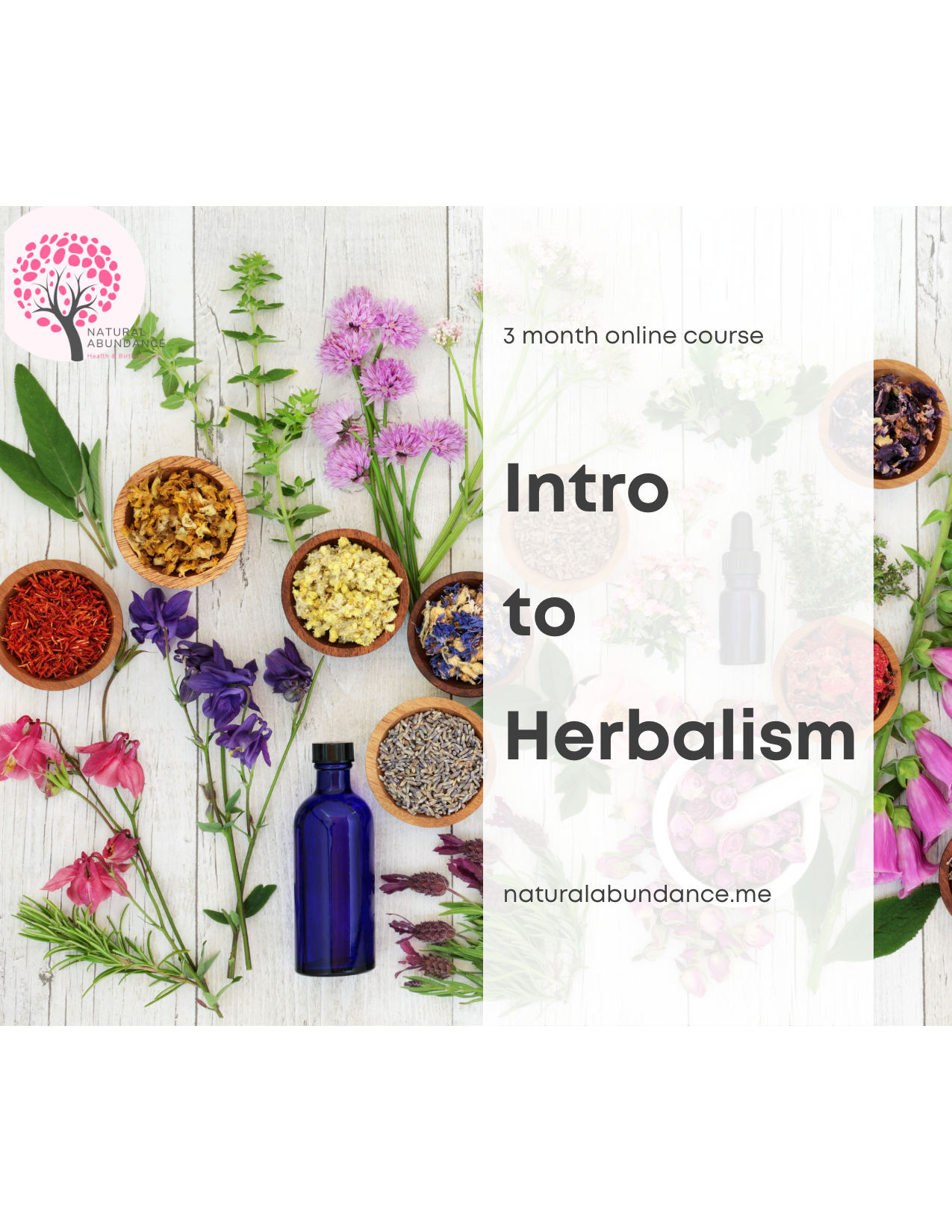 Intro To Herbalism Perinatal Natural Health School