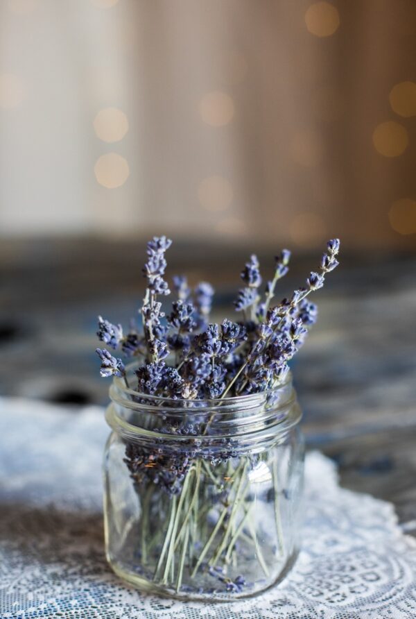 Lavender flowers, herbal medicine at home
