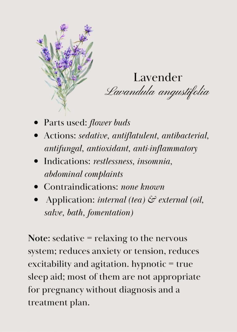 Lavender flash card, back