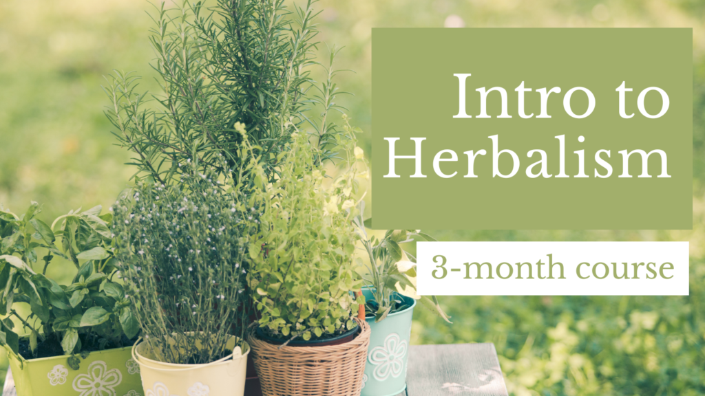 intro to herbalism online course