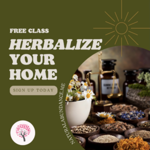 herbalize your home 2024