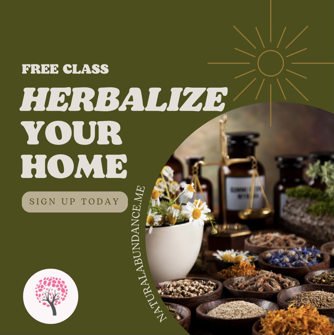herbalize your home 2024