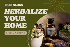herbalize your home - herbal hour class